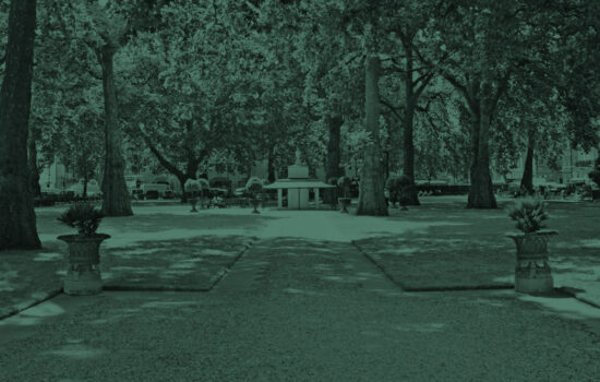 2017-06-21-11.02.43-Green